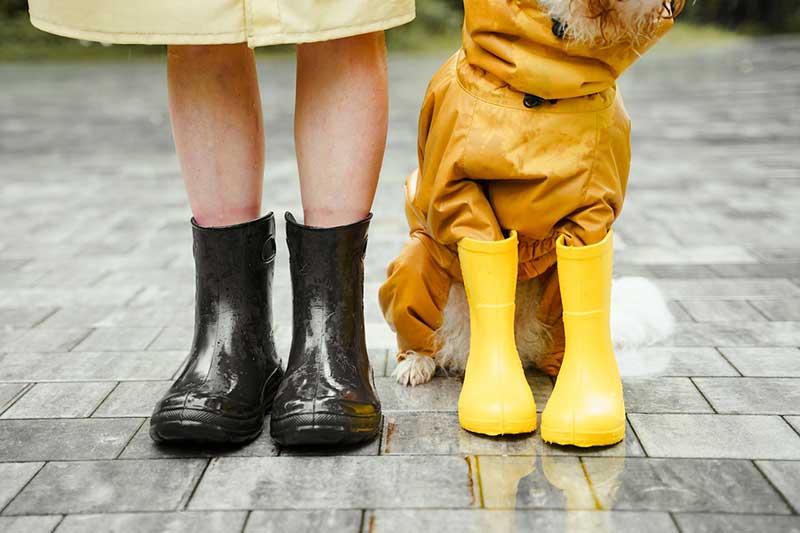 a photo of a girl and a dog wearing rain boots