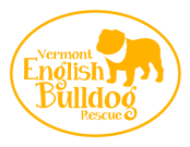 Vermont English Bulldog Rescue logo