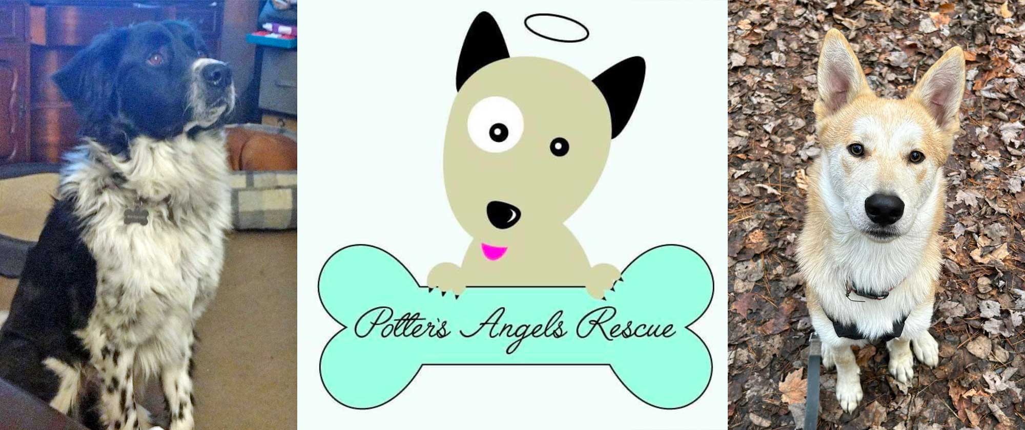Potters Angels Rescue feature image with logo and two dogs' photos