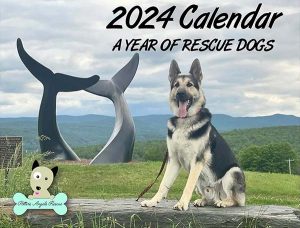 Potters Angels 2024 Rescue Dogs Calendar